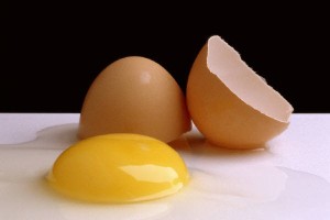 Putih Telur